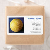 正方形の写真 – シュガーメロン ラベル (インサイチュ)