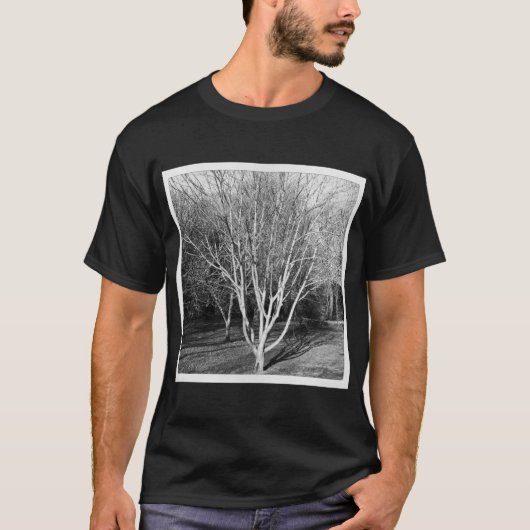 正方形の写真 – ツリー Tシャツ (正面)