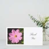 正方形の写真 – ピンクのコスモス サンキューカード (スタンド正面)