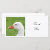 正方形の写真 – ホワイトガチョウ サンキューカード (正面/裏面)