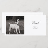 正方形の写真 – リス遊は サンキューカード (正面/裏面)