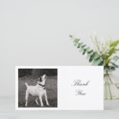 正方形の写真 – リス遊は サンキューカード (スタンド正面)