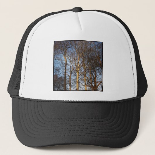 正方形の写真 – 日に照らされた冬の木 キャップ (正面)