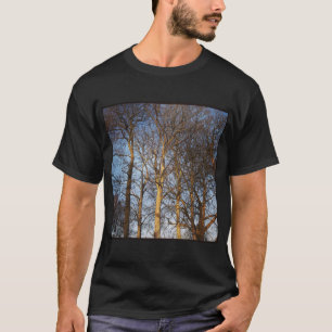 正方形の写真 – 日に照らされた冬の木 Tシャツ