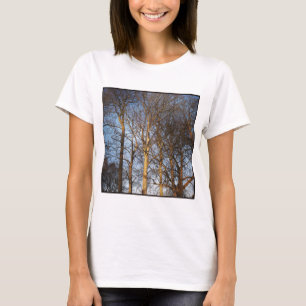 正方形の写真 – 日に照らされた冬の木 Tシャツ