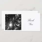 正方形の写真 – 木々を通る太陽(BW) サンキューカード (正面/裏面)