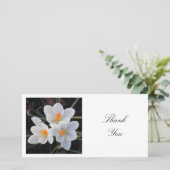 正方形の写真 – 白クロキュース サンキューカード (スタンド正面)