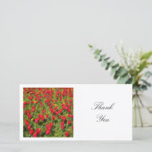 正方形の写真 – 赤いチューリップのベッド サンキューカード (スタンド正面)