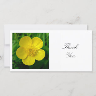 正方形の写真 – Buttercup サンキューカード