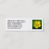 正方形の写真 – Buttercup スキニー名刺 (裏面)