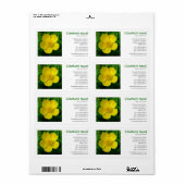 正方形の写真 – Buttercup ラベル (フルシート)