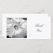 正方形の写真 – Daffodil サンキューカード (正面/裏面)