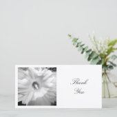 正方形の写真 – Daffodil サンキューカード (スタンド正面)