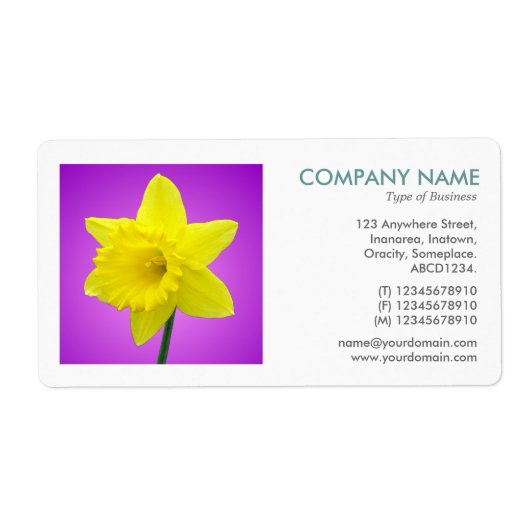 正方形の写真 – Daffodil ラベル (正面)