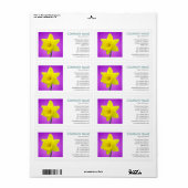 正方形の写真 – Daffodil ラベル (フルシート)