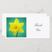 正方形の写真 – Daffodil on Green サンキューカード (正面/裏面)