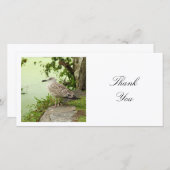 正方形の写真 – Gull サンキューカード (正面/裏面)