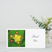 正方形の写真 – Hypericum サンキューカード (スタンド正面)