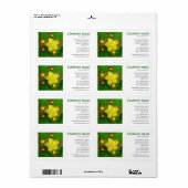 正方形の写真 – Hypericum perforatum ラベル (フルシート)