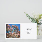正方形の写真 – Magnolia Tree サンキューカード (スタンド正面)