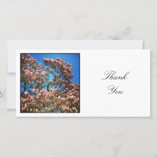 正方形の写真 – Magnolia Tree サンキューカード