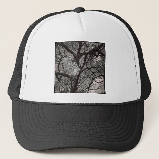 正方形の写真 – Magnolia Tree in Early春 キャップ (正面)