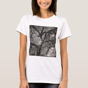 正方形の写真 – Magnolia Tree in Early春 Tシャツ