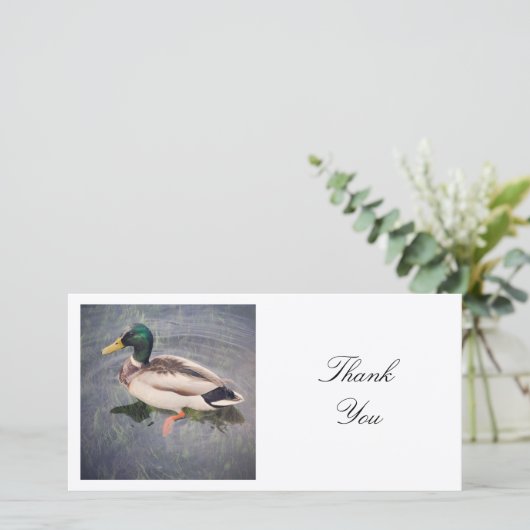 正方形の写真 – Mallard Duck サンキューカード (スタンド正面)