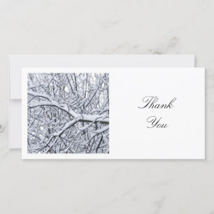 正方形の写真 – Snowy Branches サンキューカード