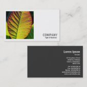 正方形の写真(v2) -カラフルリーフ 名刺 (正面/裏面)