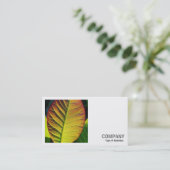 正方形の写真(v2) -カラフルリーフ 名刺 (スタンド正面)