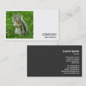 正方形の写真(v2) – ギョッとした灰色リス 名刺 (正面/裏面)