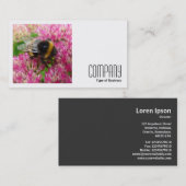 正方形の写真(v2) – セダムののまわりに 名刺 (正面/裏面)