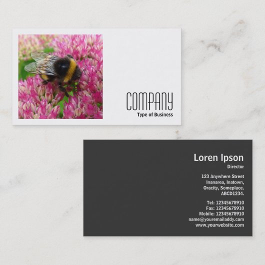 正方形の写真(v2) – セダムののまわりに 名刺 (正面/裏面)