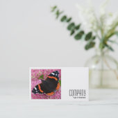 正方形の写真(v2) – セダム提督の赤 名刺 (スタンド正面)