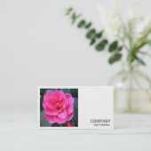 正方形の写真(v2) – ピンクの椿 名刺 (スタンド正面)