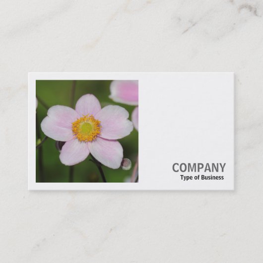 正方形の写真(v2) – ピンクAnemone 名刺 (正面)