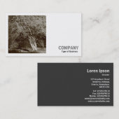 正方形の写真(v2) – ホリーツリー – セピア 名刺 (正面/裏面)