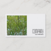 正方形の写真(v2) - 日本の Maple 名刺 (正面)