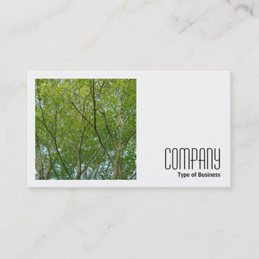 正方形の写真(v2) - 日本の Maple 名刺 (正面)