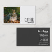 正方形の写真(v2) – 灰色リス 名刺 (正面/裏面)