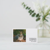 正方形の写真(v2) – 灰色リス 名刺 (スタンド正面)