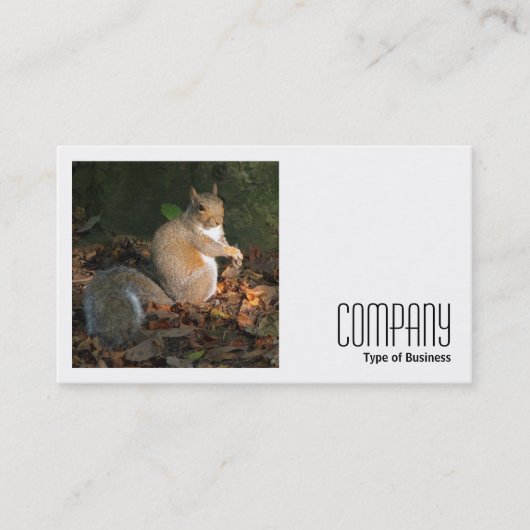 正方形の写真(v2) – 灰色リス 名刺 (正面)