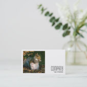 正方形の写真(v2) – 灰色リス 名刺 (スタンド正面)