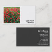 正方形の写真(v2) – 赤チューリップ01 名刺 (正面/裏面)