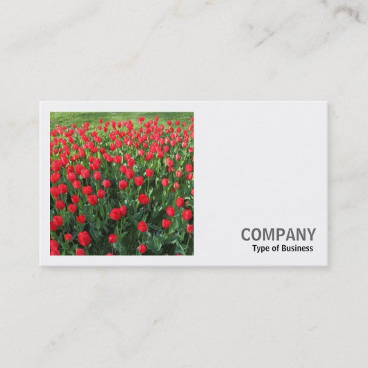 正方形の写真(v2) – 赤チューリップ01 名刺 (正面)