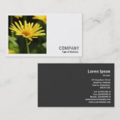 正方形の写真(v2) – 黄デイジー 名刺 (正面/裏面)