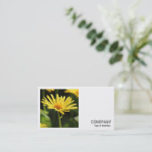 正方形の写真(v2) – 黄デイジー 名刺 (スタンド正面)