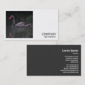 正方形の写真(v2) – 黒い白鳥 名刺 (正面/裏面)