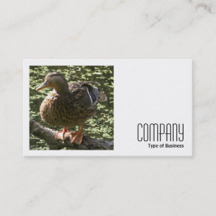 正方形の写真(v2) - Happy Duck 名刺